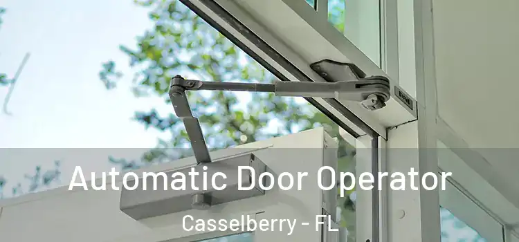 Automatic Door Operator Casselberry - FL