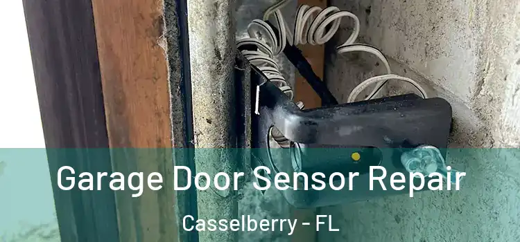 Garage Door Sensor Repair Casselberry - FL