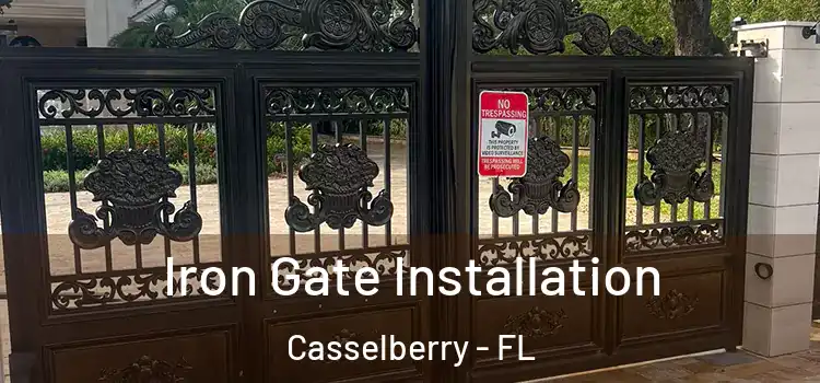 Iron Gate Installation Casselberry - FL