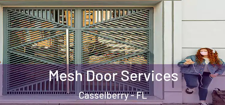 Mesh Door Services Casselberry - FL